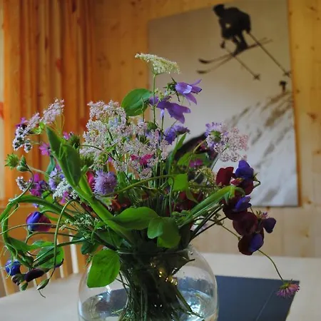 Haus Untergand Appartement *