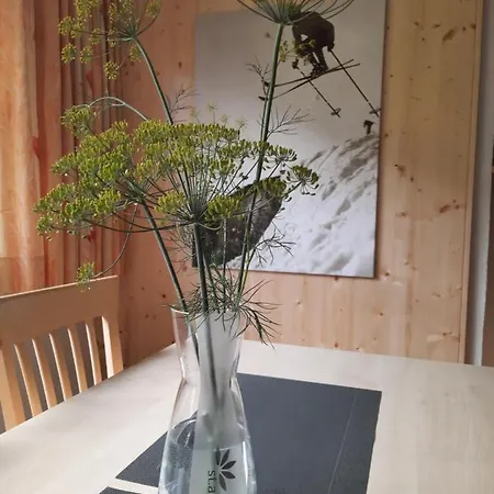 Haus Untergand 圣安东阿尔贝格