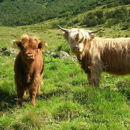 Haus Untergand Appartement Sankt Anton am Arlberg